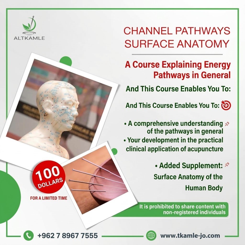 Channel Pathways – Surface Anatomy