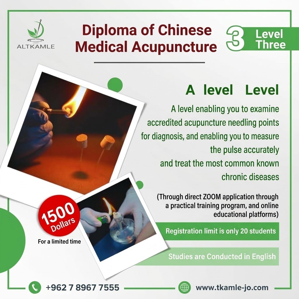 Chinese Acupuncture Diploma (Level Three)
