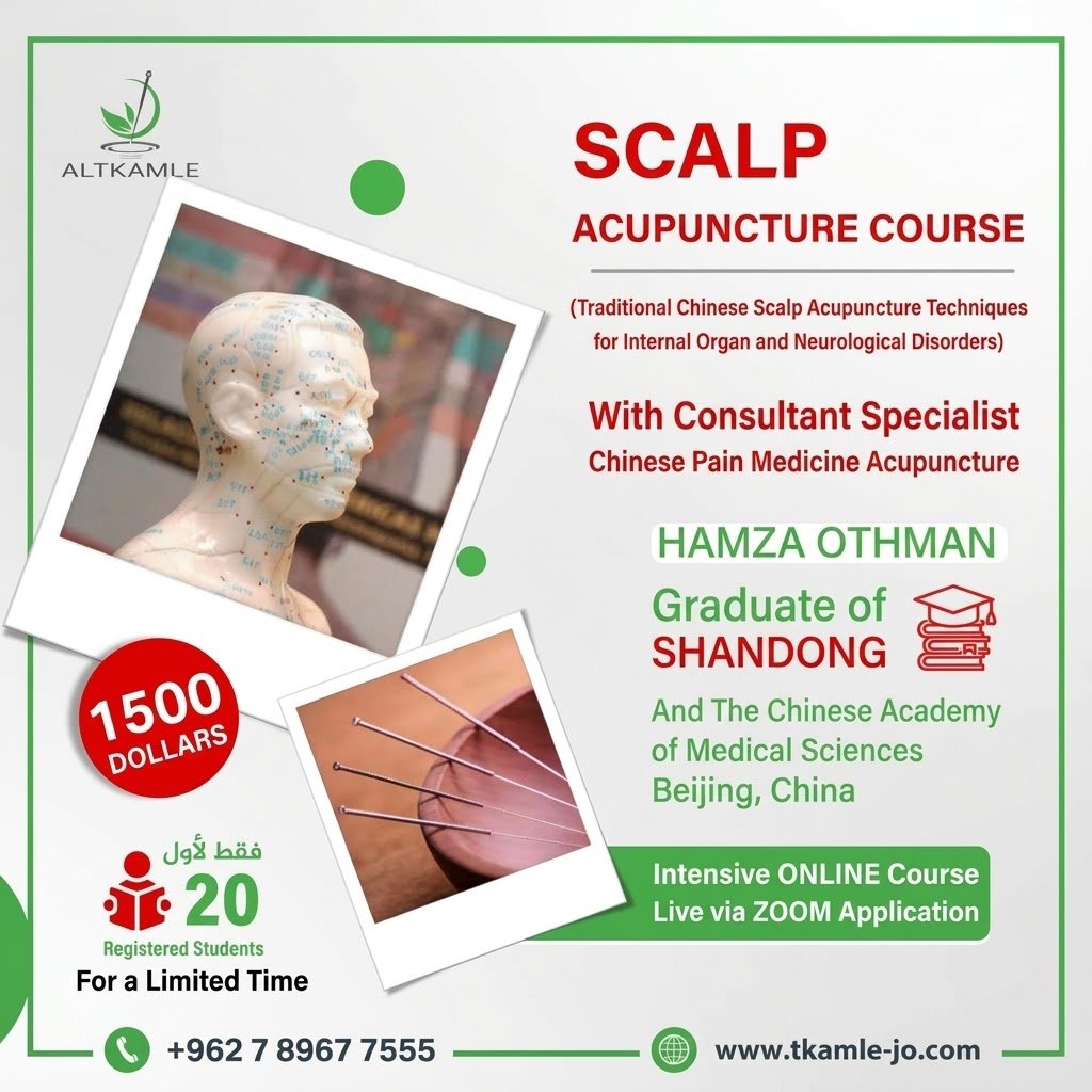 Scalp Acupuncture (Scalp Needle Therapy)